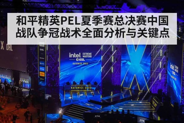 和平精英PEL夏季赛总决赛中国战队争冠战术全面分析与关键点